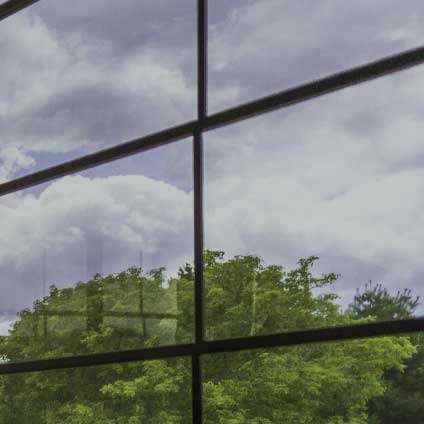 Dark window season night glasses panel reflecting cloudy sky above lush green tree canopy
